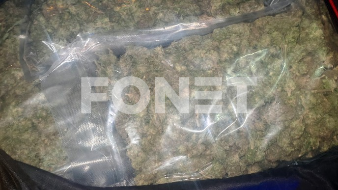 Zaplena droge, oružja i zlata